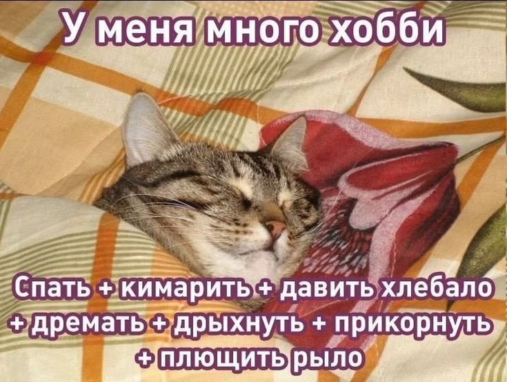 𝕻𝖗𝖎𝖉𝖚𝖗𝖔𝖐 tweet media