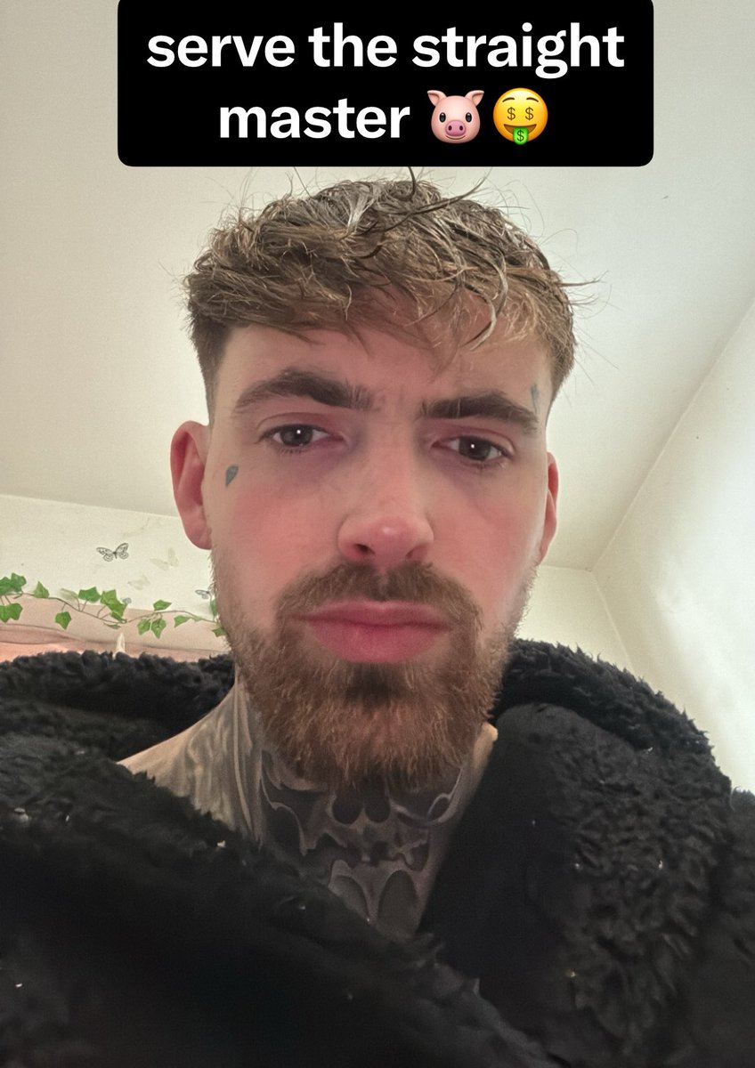 BullyBossFlash tweet media