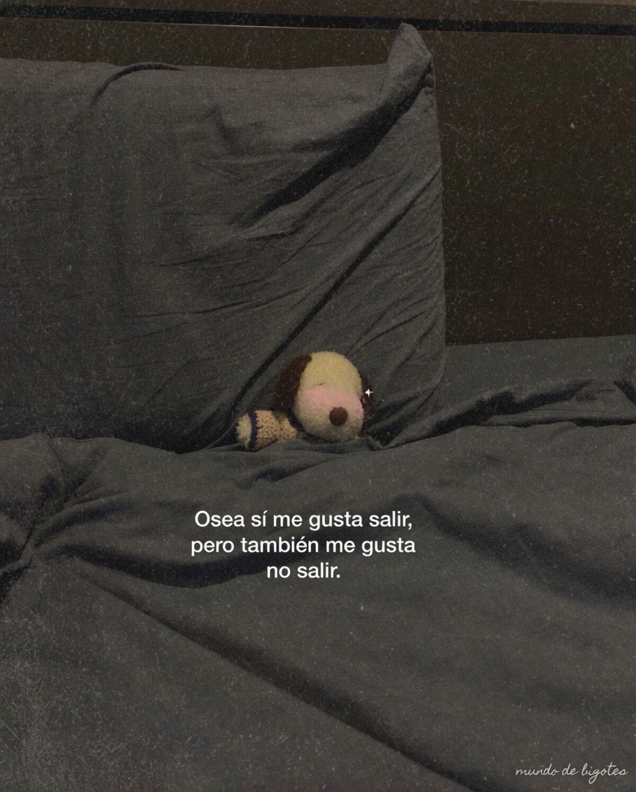 Mundo de Bigotes (@mundodebigotes) on Twitter photo 