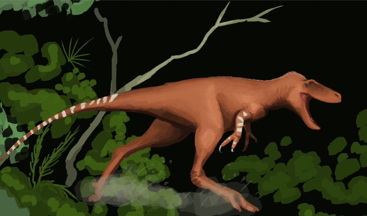 junius_anax's tweet photo. #Nanotyrannus #Tyrannosaurid #HellCreek #BackinHell #Dinosaur #Paleoart https://t.co/uo2hQg6UDj