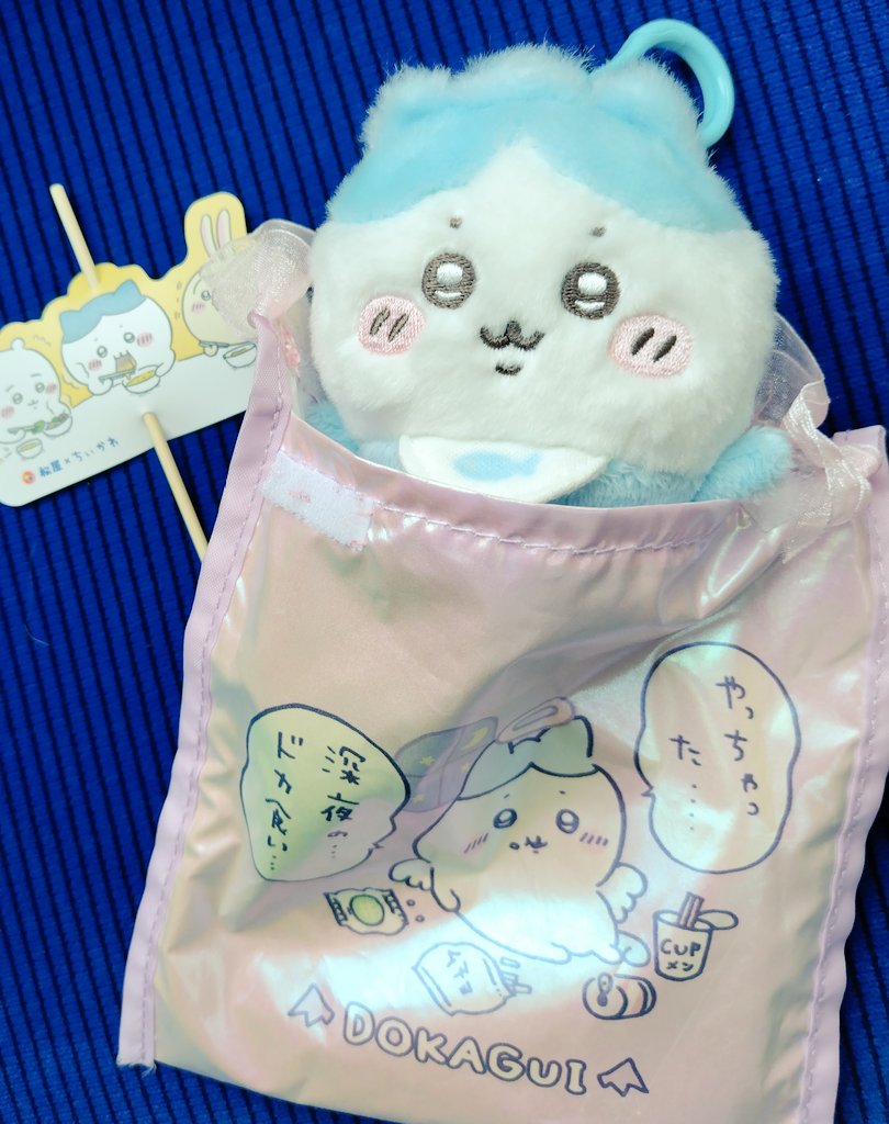 ねこレモン««ラッコ先生とゆく«« (@GoChiikawaRakko) / Posts / X