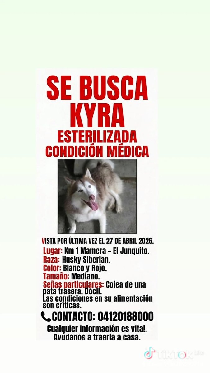 MUNDO ANIMAL INFINITO tweet media
