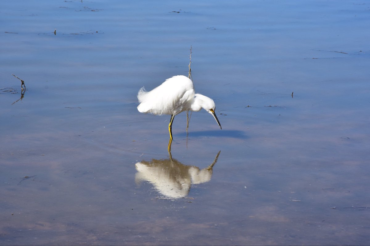 course8cheduler's tweet photo. #AlphabetChallenge #WeekRforReflections
Hello, is it me you're looking for? 🎶
A bit early for #WeekSforSongs 😆 https://t.co/bnLMhY1ZzP