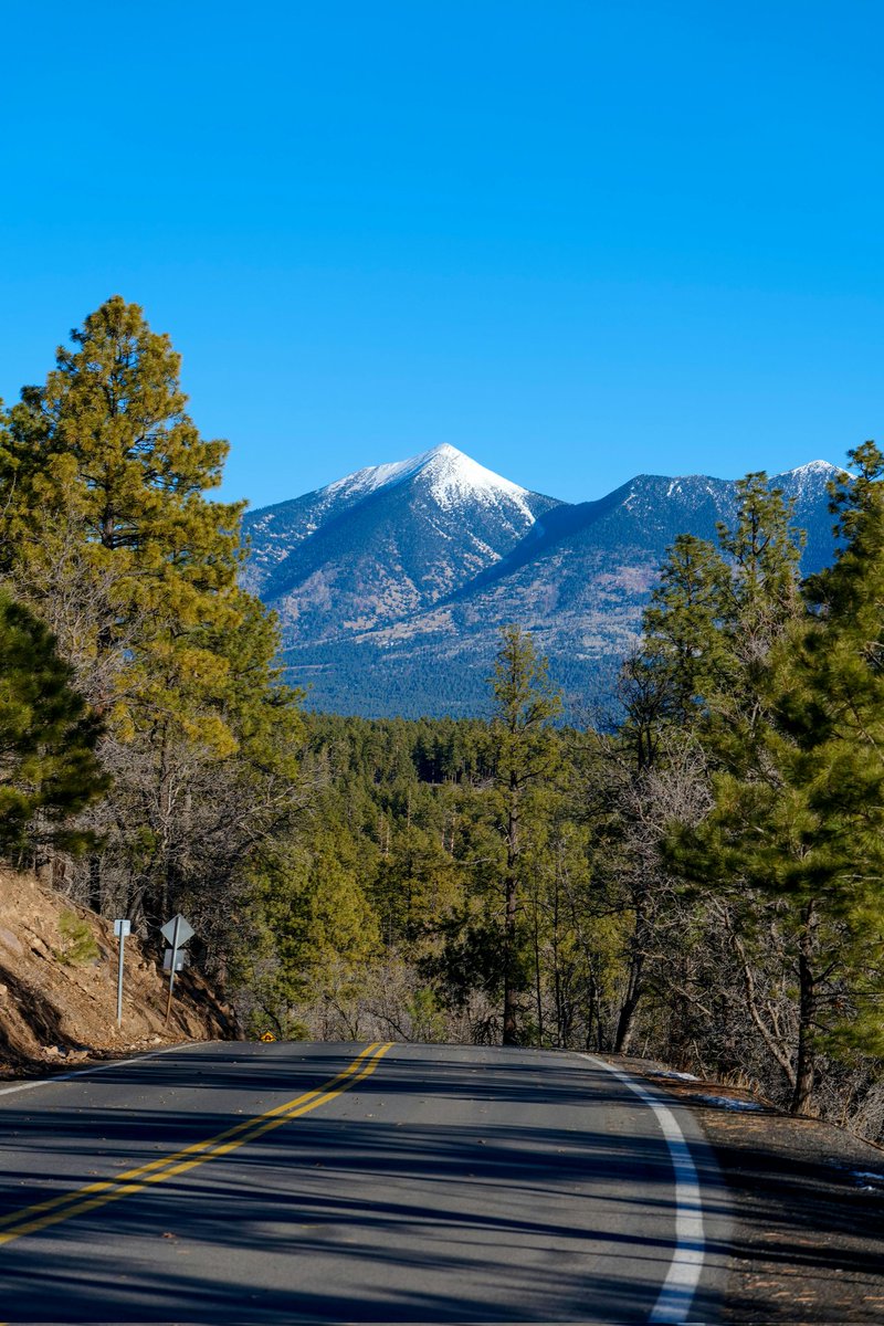 masteph123's tweet photo. 🌲 Escape SoAZ Heat – Northern AZ Family Adventure! 🌲
Ditch 110°F+ for cool 70-80°F pines, Grand Canyon views, Sedona swims &amp; Flagstaff stargazing. Perfect for kids to grandparents!
Plan easy at https://t.co/3zjLf6VsEn
Who’s tagging the squad? 🚗💨 #BeatTheHeatAZ #NorthernArizon https://t.co/Awhm0HEnal