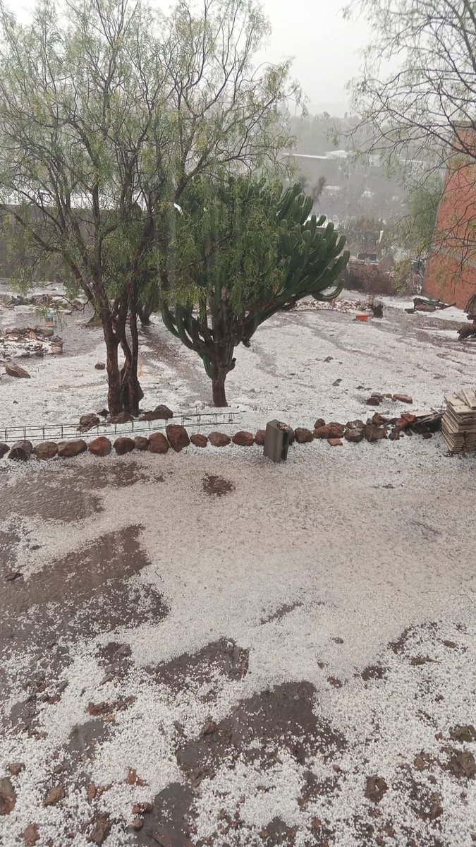 Planoinforma's tweet photo. #ClimaSLP | 🌧️ Alertan por lluvias fuertes y posibles tormentas este domingo y lunes ⚠️
La Coordinación Estatal de Protección Civil informó que se pronostican lluvias de fuertes a torrenciales en distintas regiones de San Luis Potosí durante este domingo 10 y lunes 11 de mayo. 🌩️
Autoridades advierten sobre riesgo de incremento en ríos y arroyos, encharcamientos urbanos, deslaves en zonas serranas y afectaciones en carreteras, puentes y suministro eléctrico. 🚨
Se recomienda mantenerse informado a través de canales oficiales, resguardarse en lugares seguros y reportar cualquier emergencia al 911.