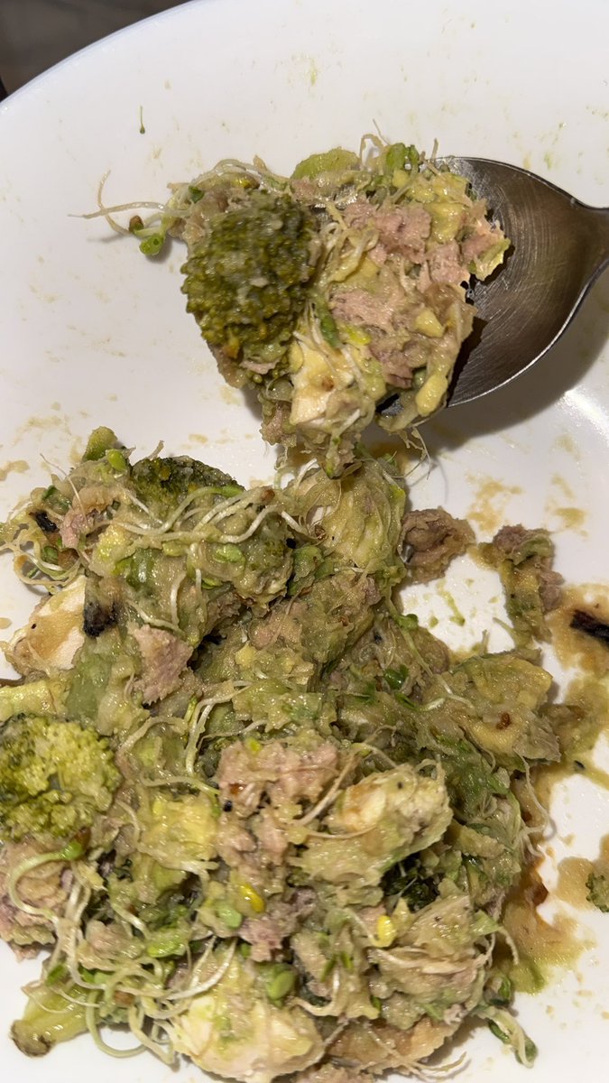 Mi lunch parece comida de gato but yall dont know lo rico que esta este pedo