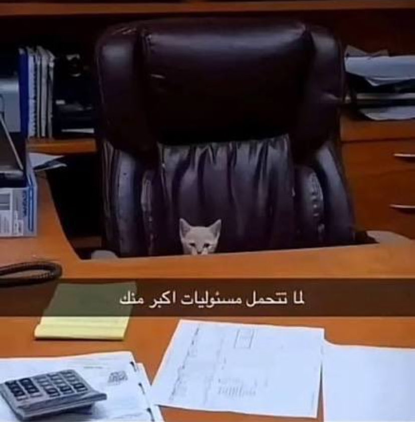 MTNEWS_'s tweet photo. عبد الصمد : https://t.co/TFGFWe3Gbi