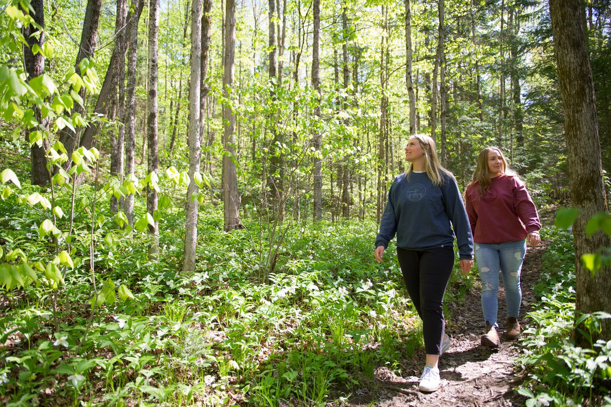 Ontario Parks tweet media