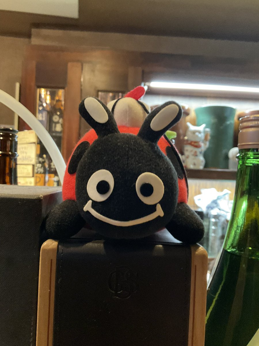 坪倉唯子 tweet media