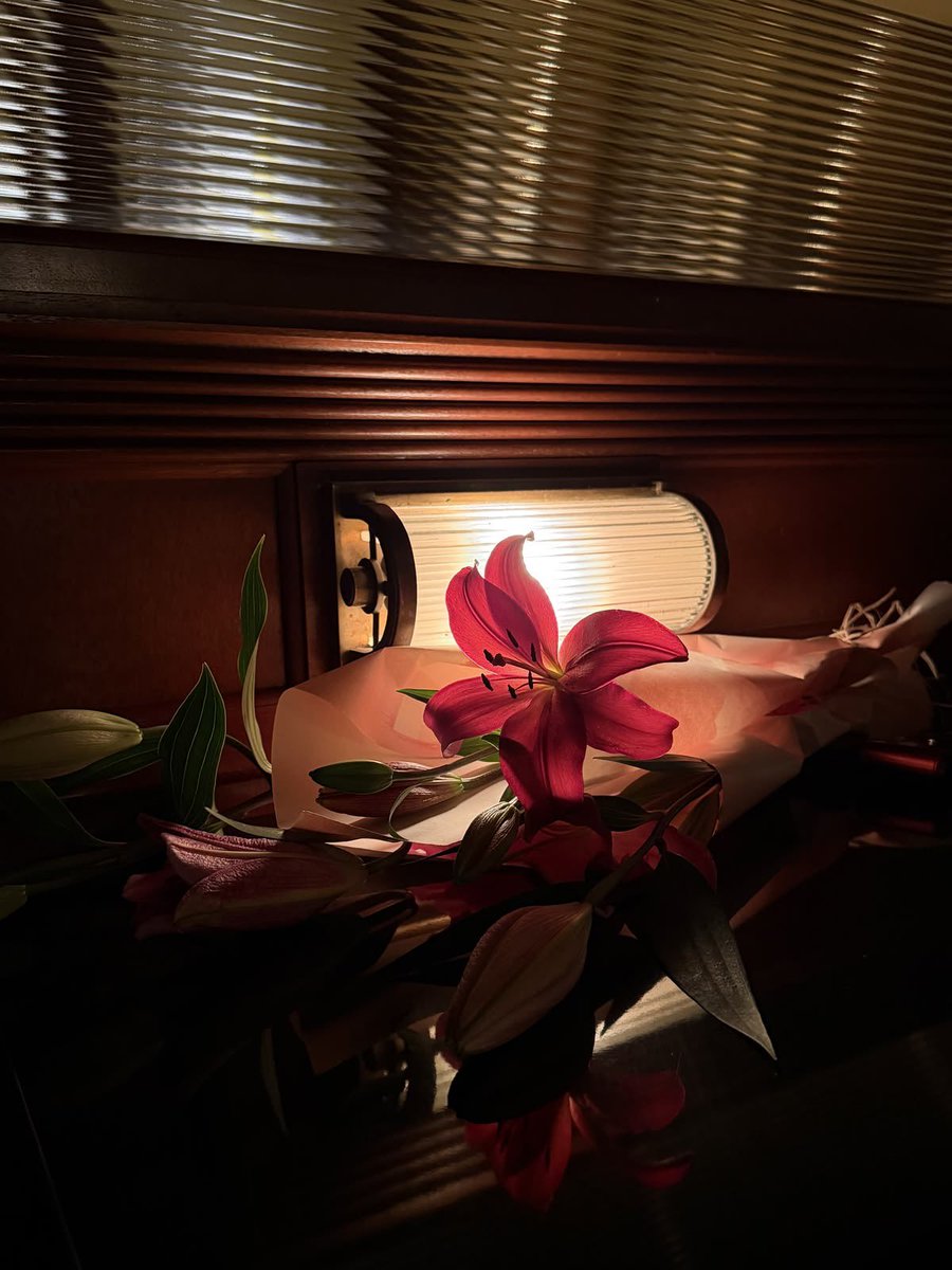 Lily ✮⋆˙ tweet media