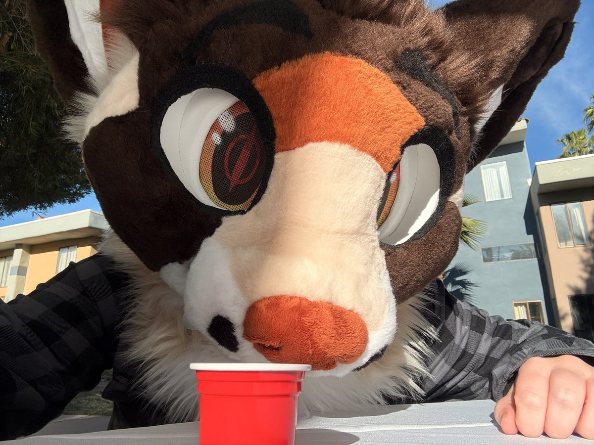 Archie 🔜 BLFC tweet media