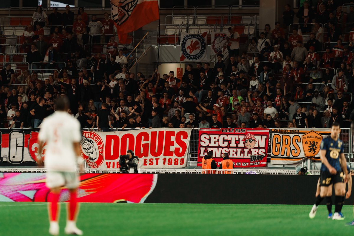 LOSC tweet media