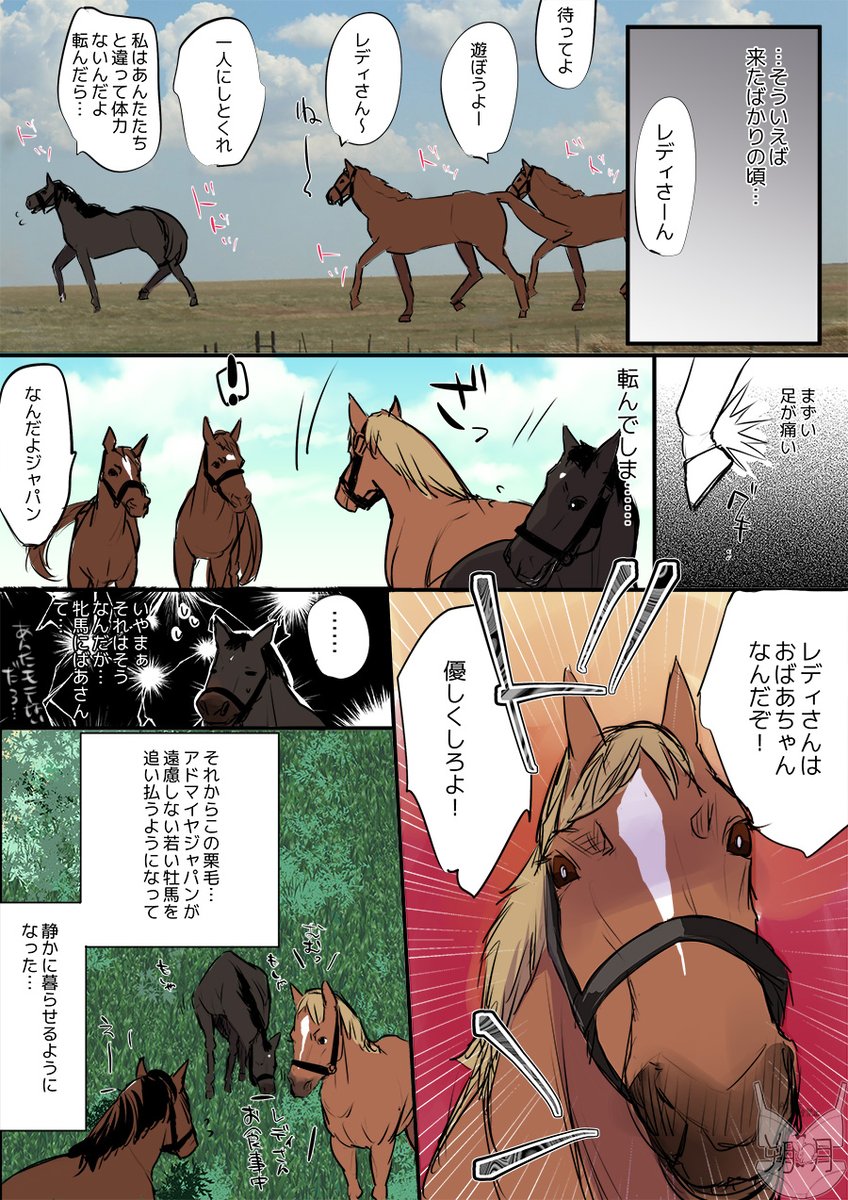 ついに馬の漫画を描いてしまいました…
馬が何考えてるかなんて本当にわからないんですけど、それでもいつもレディさんを追いかけてるジャパンくんがかわいくて
5/10はスカーレットレディさんお誕生日でした!31歳おめでとうございます! 