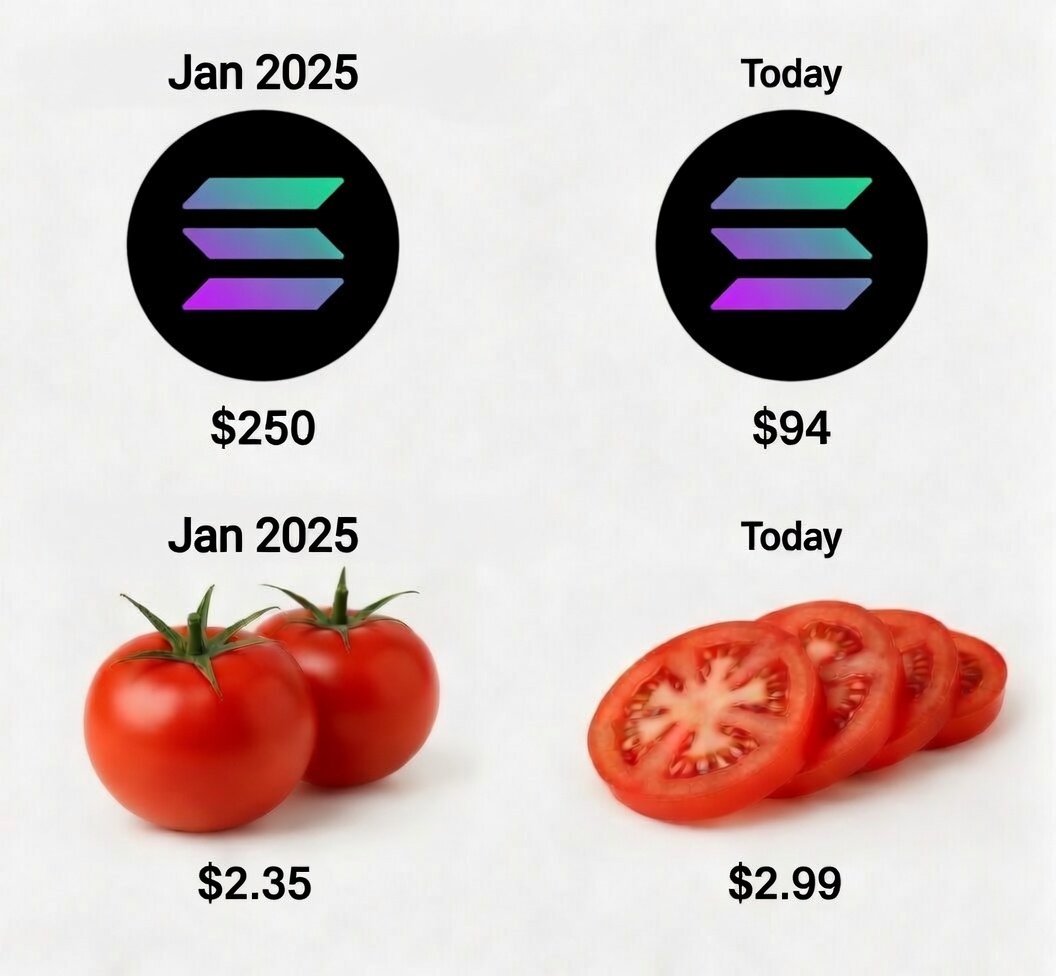 tomato tweet media