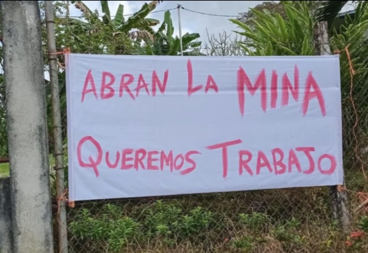 El Loro De Panamá Es Verde tweet media