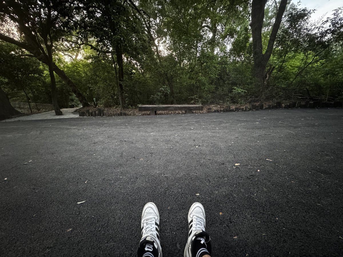 DOC8817's tweet photo. メキシコ・モンテレイの公園🌿 3 https://t.co/6Y66bwtgb3