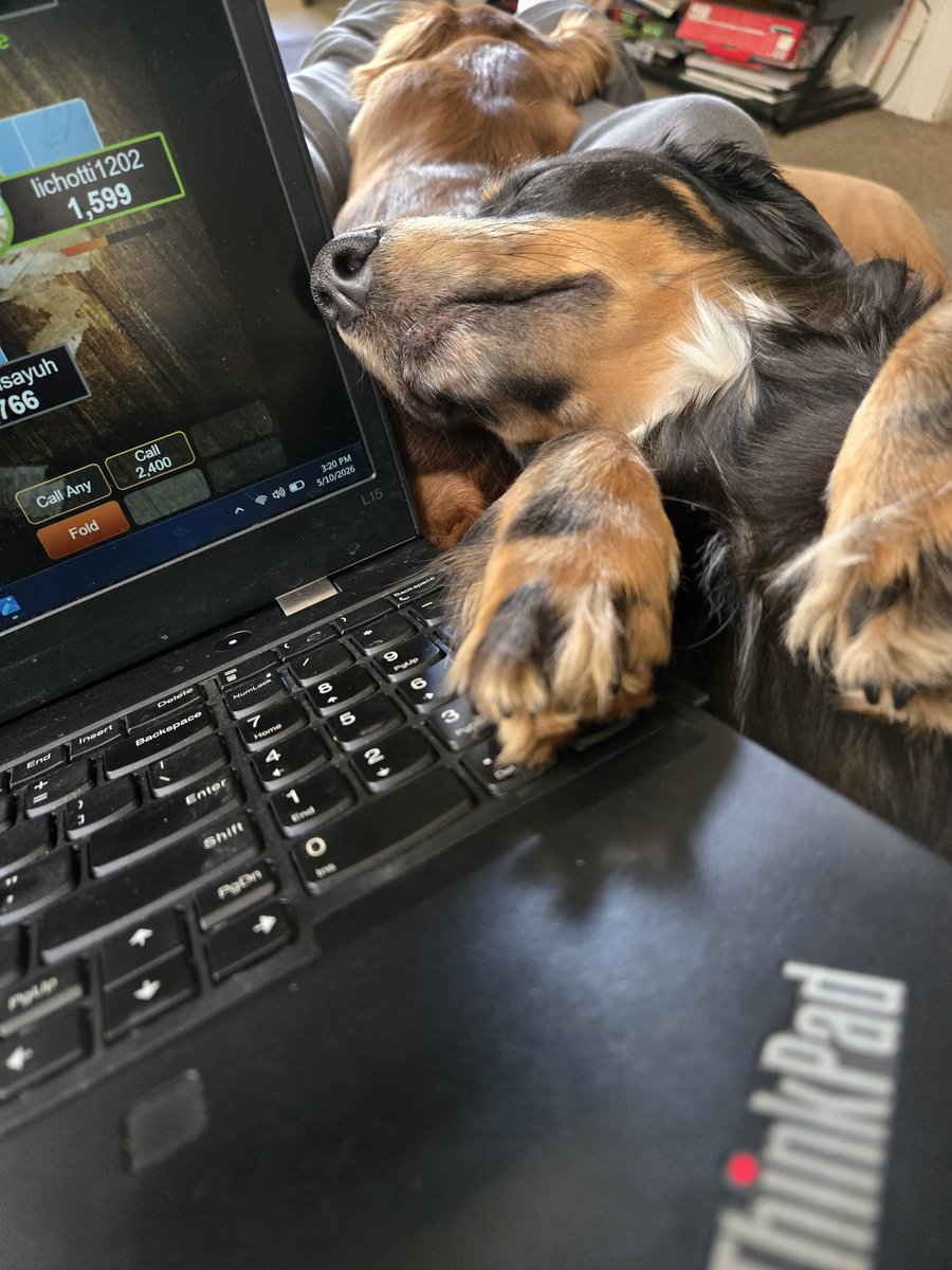 ReignCoates82's tweet photo. @official_glp the grind is rough and the snakes havent even started! https://t.co/YEWczFUkpY