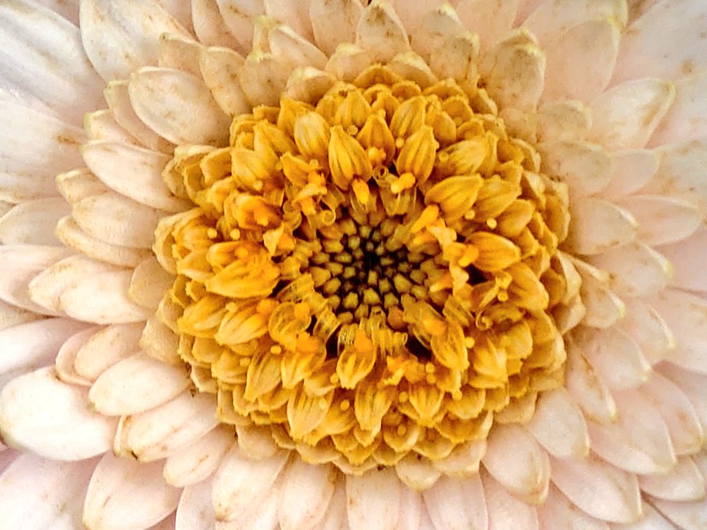 おはようございます🌞 今週もよろしくお願いします😊🌸 あなたにとって