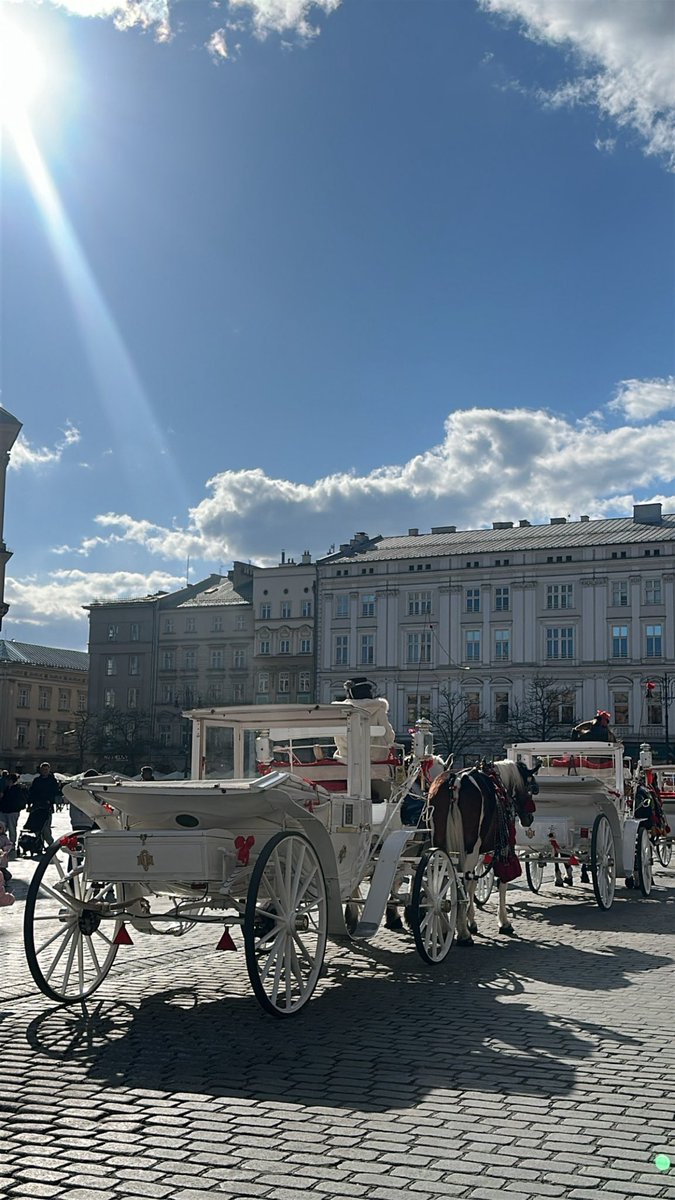 bintoun1's tweet photo. Poland 🇵🇱❤️ " اجمل ليالي العمر " https://t.co/fqI87ky7OD