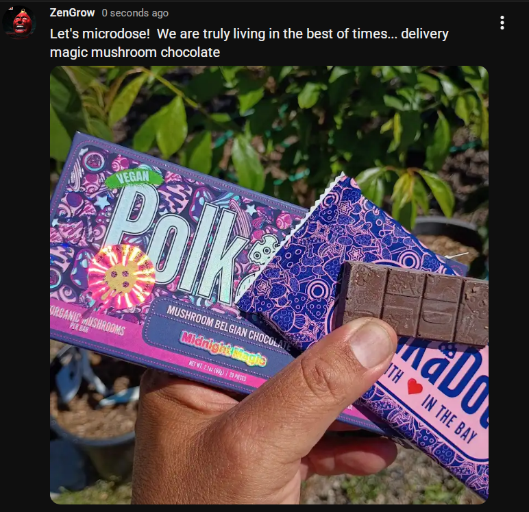Zenophobic's tweet photo. Surprisingly in a good mood today listening to good music.  Let's heighten it up a bit.  #shroomin
Enjoy it while you can... we are truly living in the best of times https://t.co/pdl76r3W2K