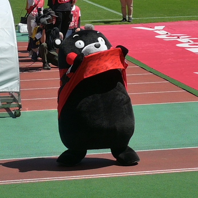 Post by Masashi Taniguchi on X: おはくまです。