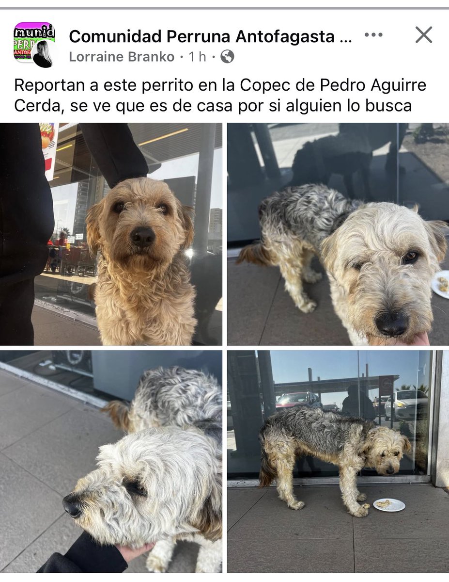Jordi tweet media