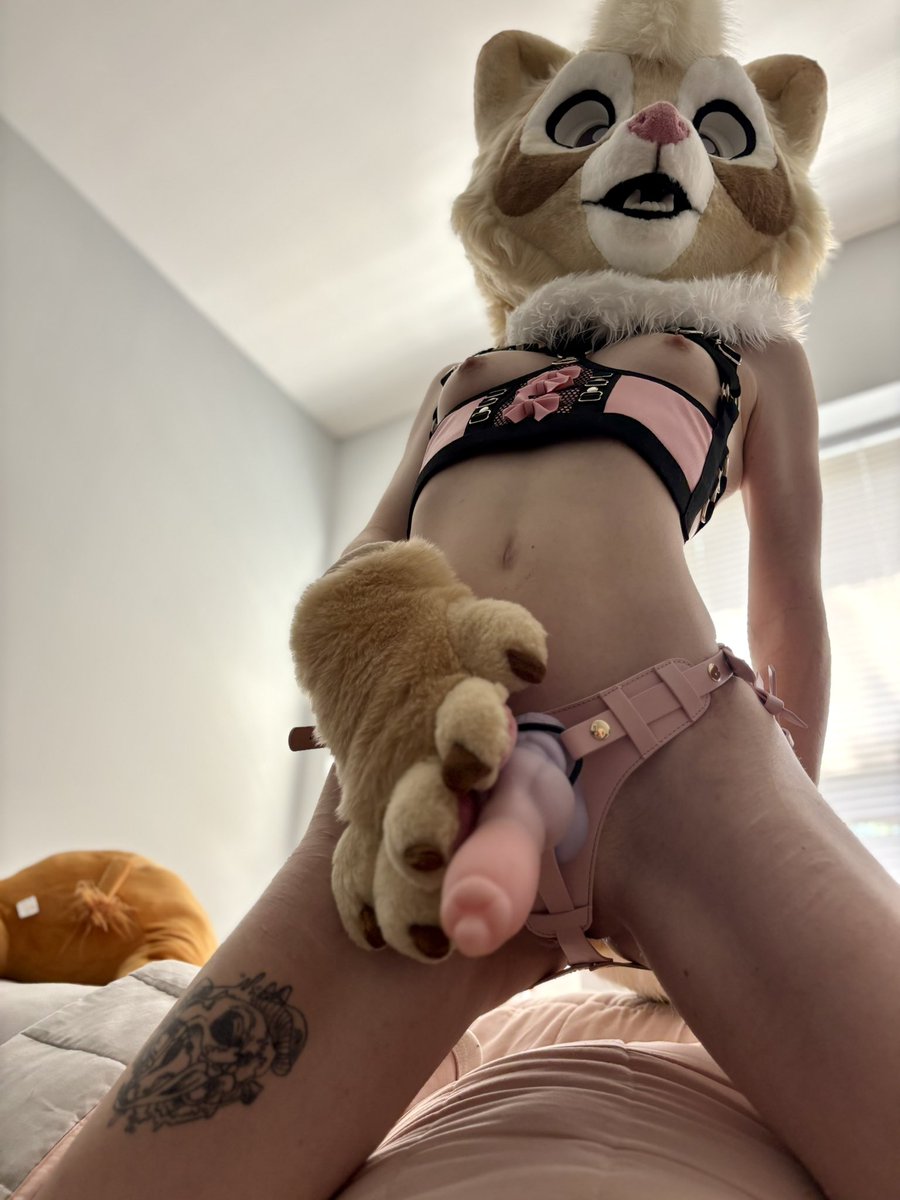 apollo 𓃦θΔ 🔆 full time puppy! tweet media