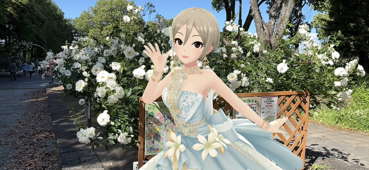 堕冥途🎀 tweet media