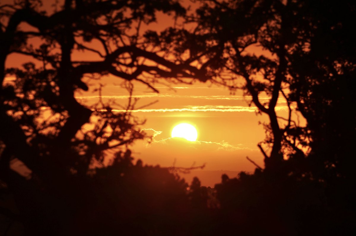 EdelMairs's tweet photo. Sunset ❤️🌅 
Templepatrick, Co. Antrim

 @WeatherCee @barrabest @geoff_maskell 
@bbcniweather @Ali_Totten 
@WeatherAisling @Louise_utv 
@LoveBallymena @ThePhotoHour @BBCWthrWatchers @bbcweather @alexberesfordTV @angie_weather @StormHour https://t.co/wGgMjA83Tm