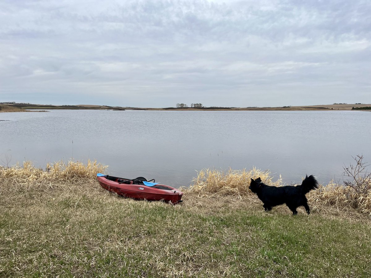 EarEigna's tweet photo. Our second outing on water and we survived! No dogs made poor decisions that lead to a dunking. https://t.co/7alNhfLy2R