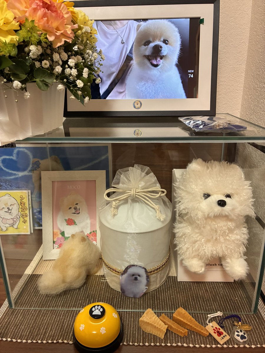 やまちろ tweet media