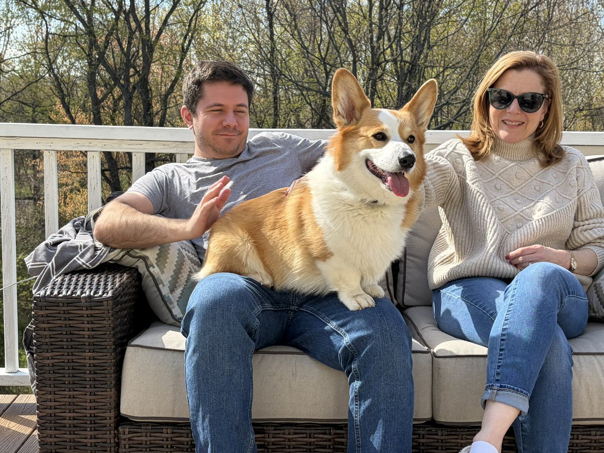 Isadore the Corgi tweet media