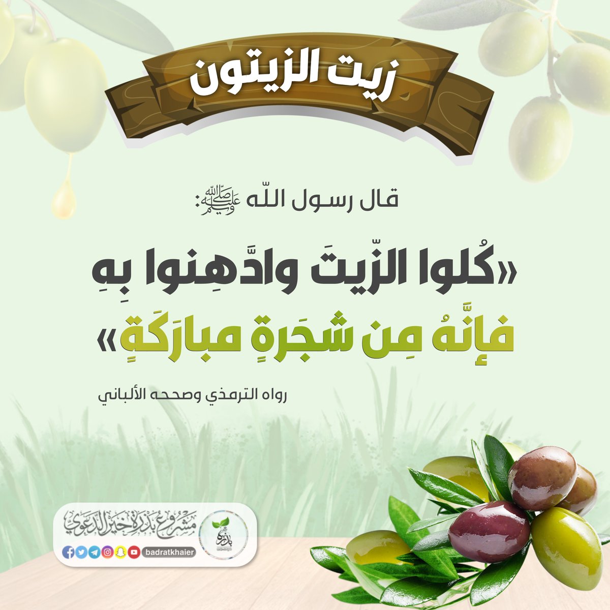 badratkhaier's tweet photo. زيت الزيتون https://t.co/uYYjxBhwiX