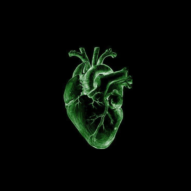 intimagneticus's tweet photo. ⠀⠀⠀⠀❝instead of 𝑑𝑎𝑢𝑔𝘩𝑡𝑒𝑟 𝑜𝑓
  ⠀⠀⠀⠀𝑚𝑎𝑔𝑛𝑒𝑡𝑜, how about you
  ⠀⠀⠀⠀call me 𝑝𝑜𝑙𝑎𝑟𝑖𝑠.ᐣ or 𝑙𝑜𝑟𝑛𝑎.❞ https://t.co/6rFEgMRe8d
