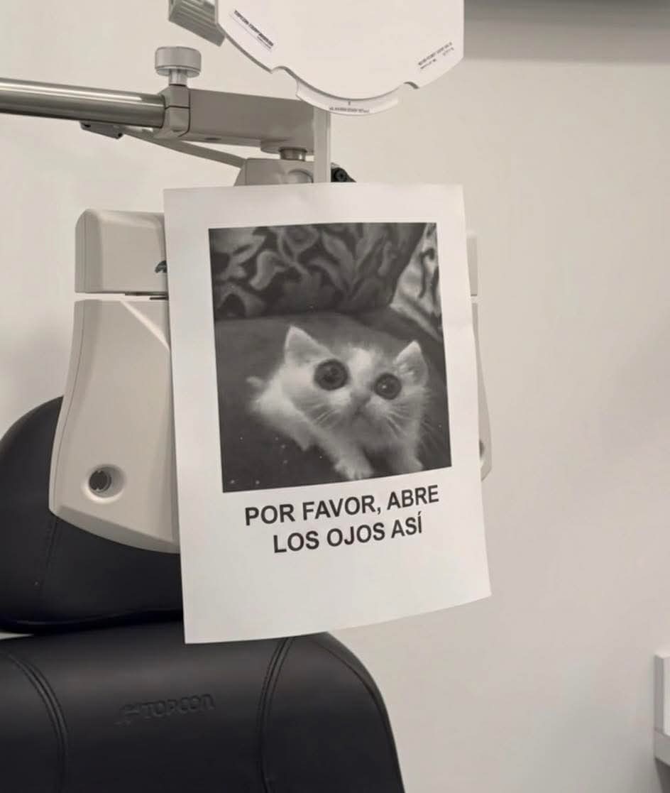 En_jupiter_'s tweet photo. El oculista enseñandl gráficamente el paso fundamental https://t.co/crEVrmYqjS