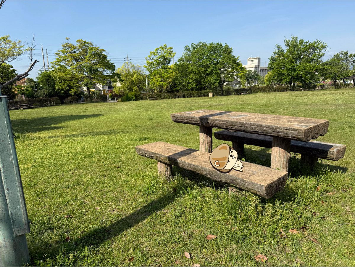 はまぐり犬 tweet media