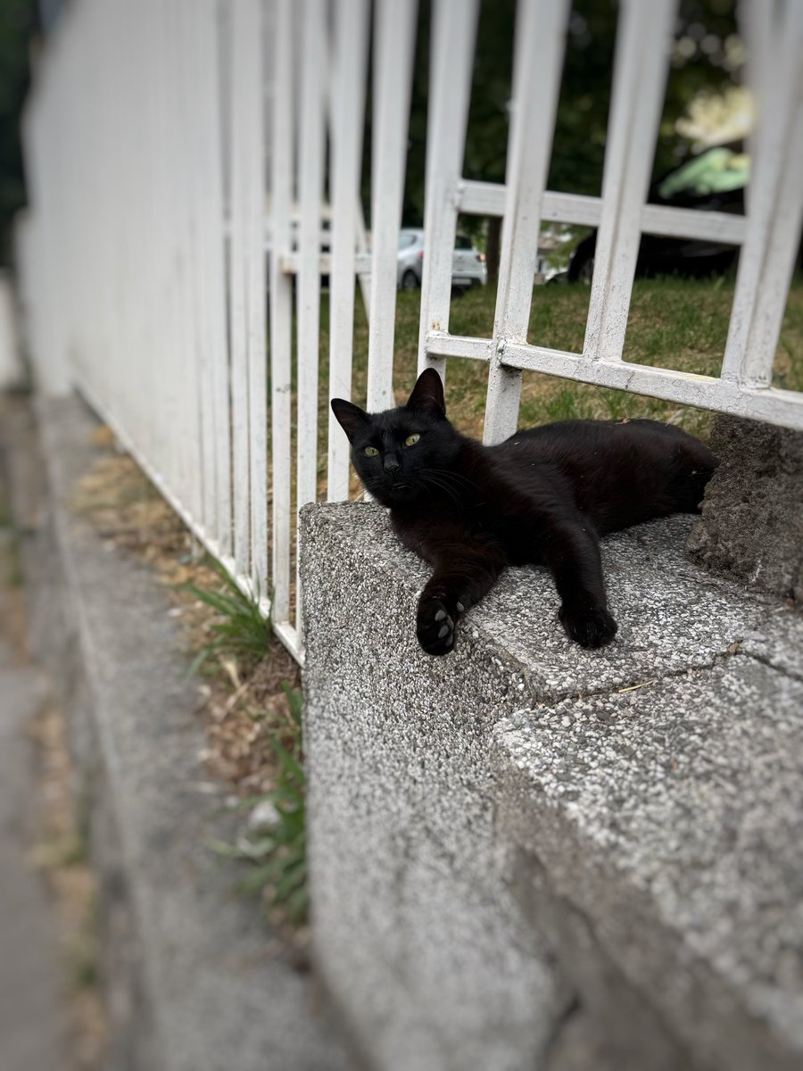 富永正明/Масааки Томинага/Masaaki Tominaga tweet media