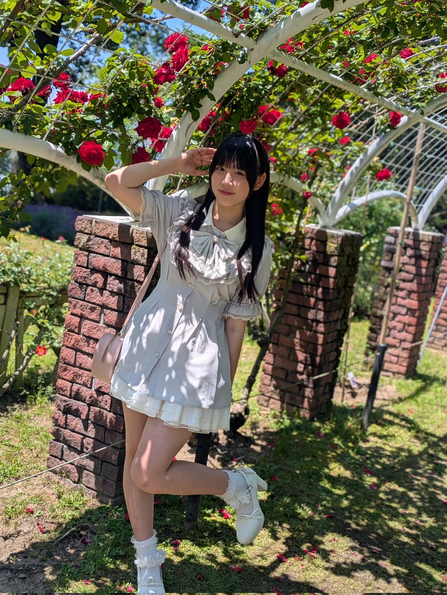 おはようございます☀ 昨日撮ったバラ🌹✨ バラと言えば赤❤️ 昨日は