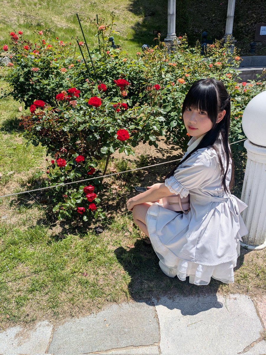 おはようございます☀ 昨日撮ったバラ🌹✨ バラと言えば赤❤️ 昨日は