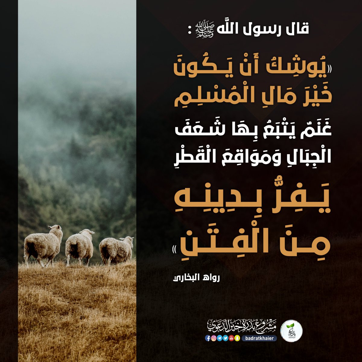 حديث نبوي