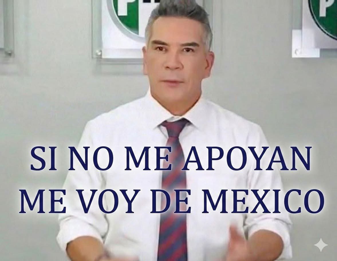 Polítik MX tweet media