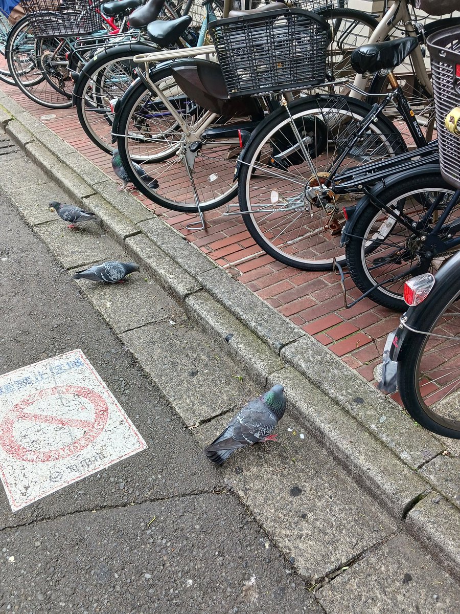 リッツ tweet media