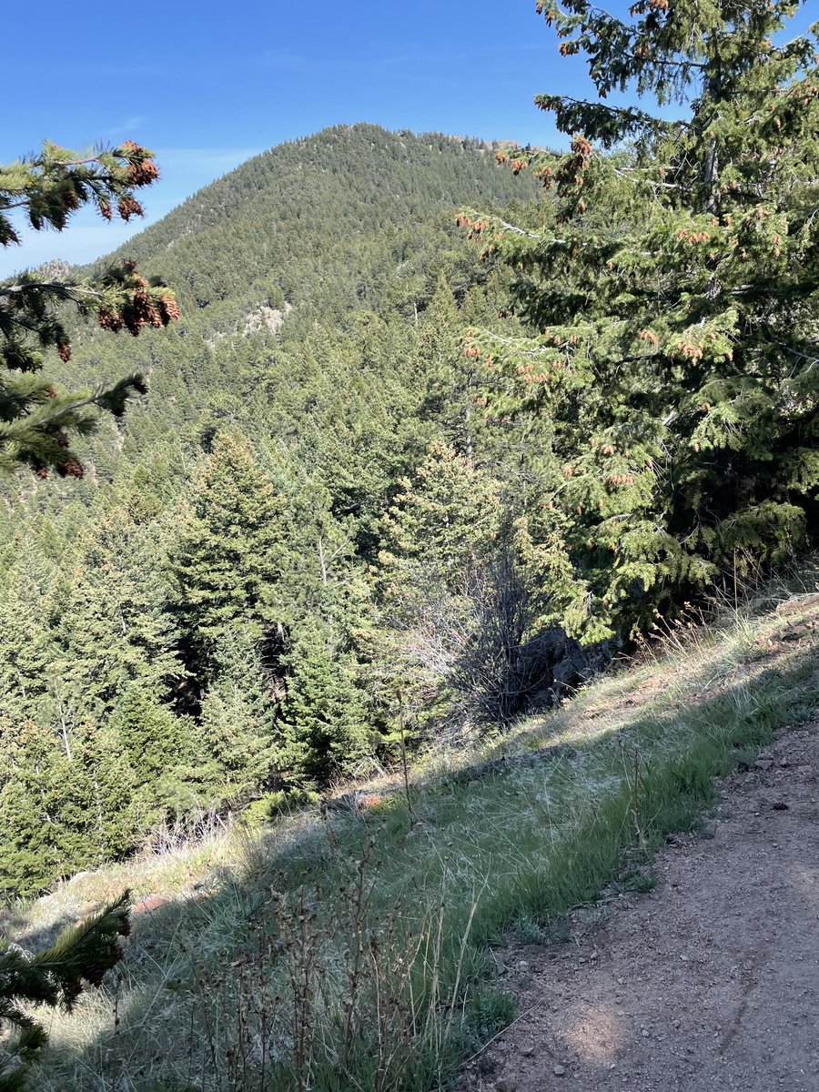 Handelstats's tweet photo. Currently hiking on Green Mountain. Boulder https://t.co/WBWWpqFGYS