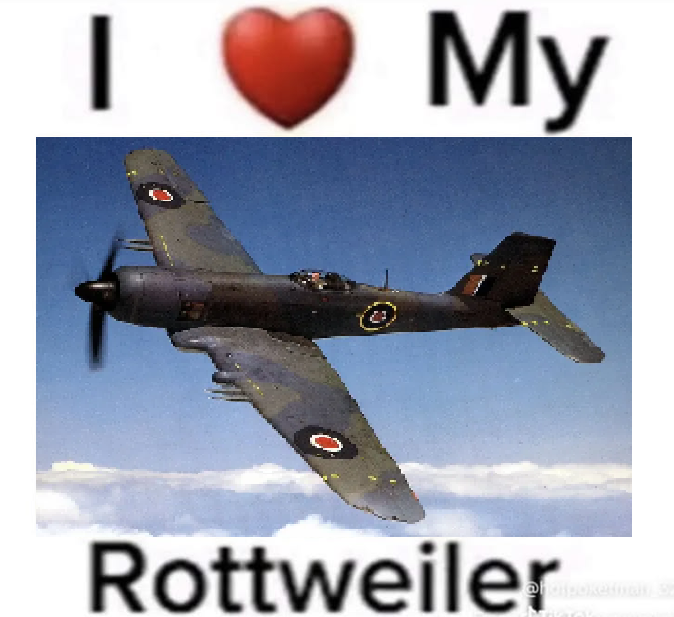 Blackburn Firebrand official fanpage tweet media