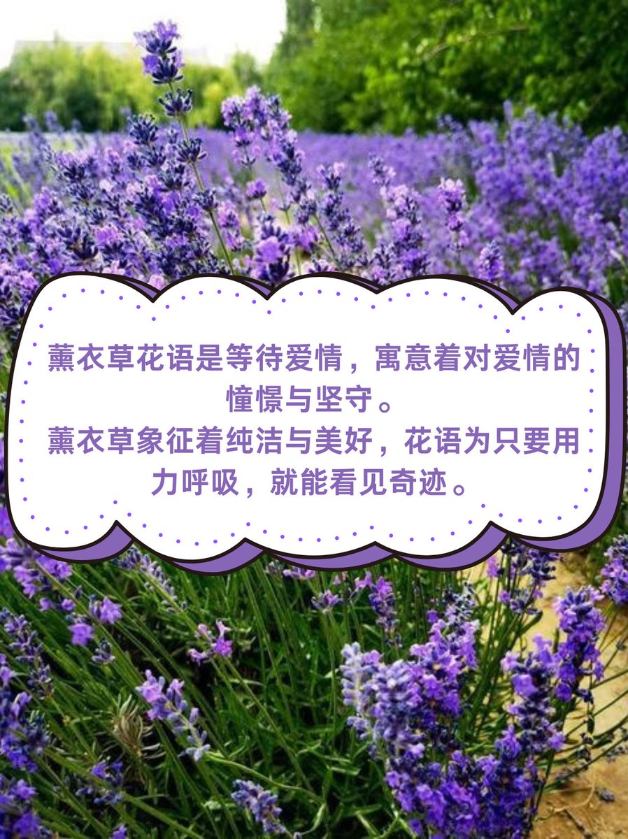 stanleysukah tweet media
