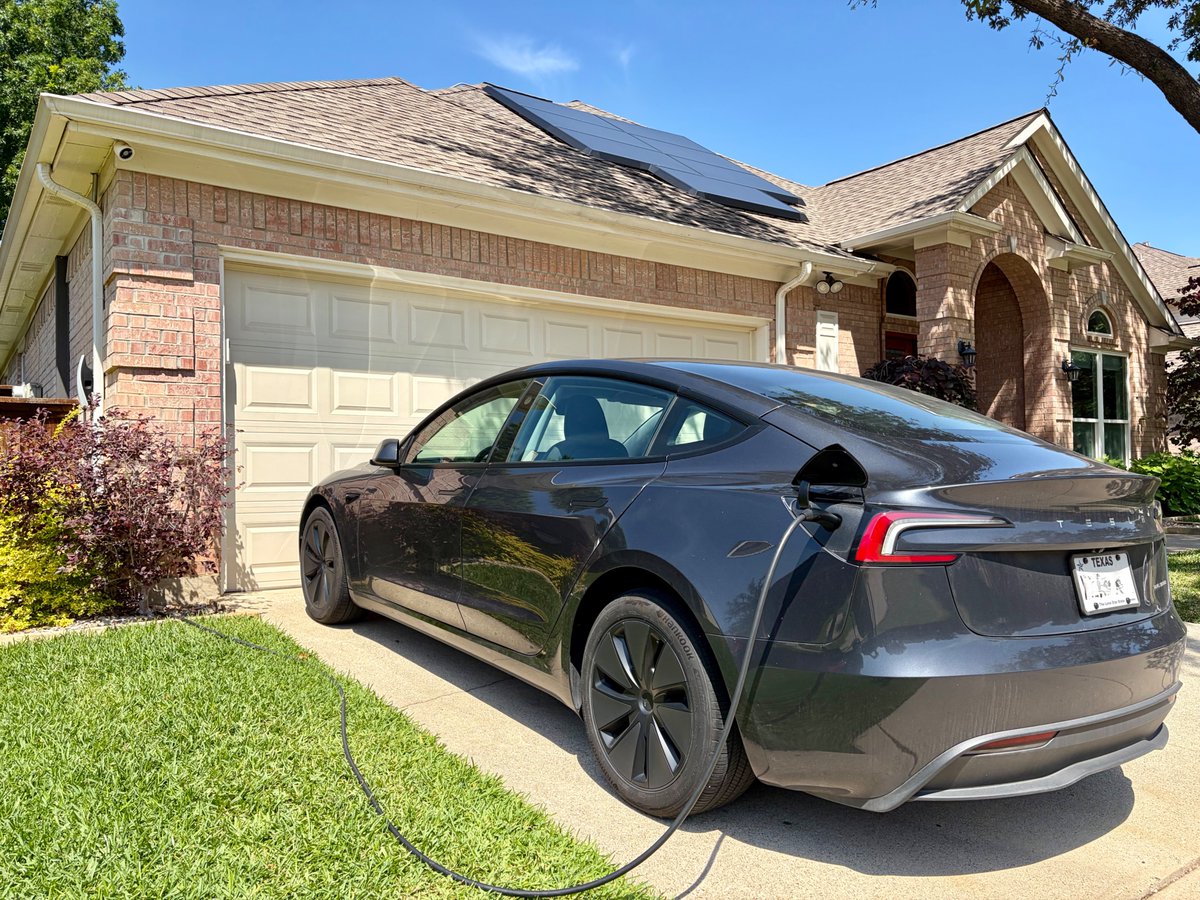 teslachoi테초이 tweet media