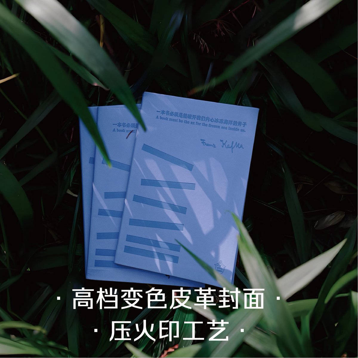 AnQuLi's tweet photo. Just finished binge-watching [综艺名] S3—this episode’s plot twist Chef’s kiss  Who’s with me Tag your watch buddy u0026 drop your favorite moment below! #VarietyShowVibes #BingeWatchBliss https://t.co/jeQ0ut56ZY