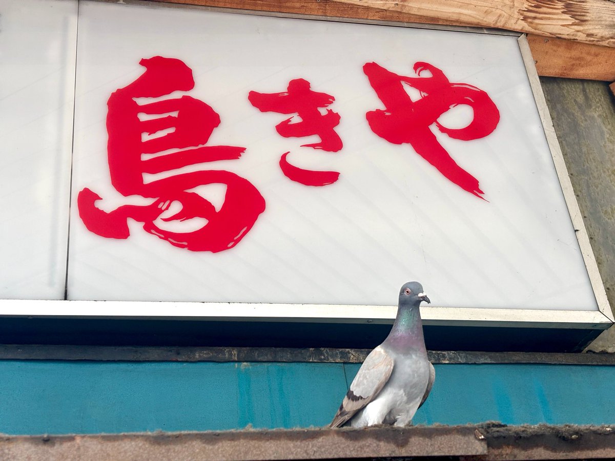 威風堂々としているけど
その場からは離れた方が良いです…
