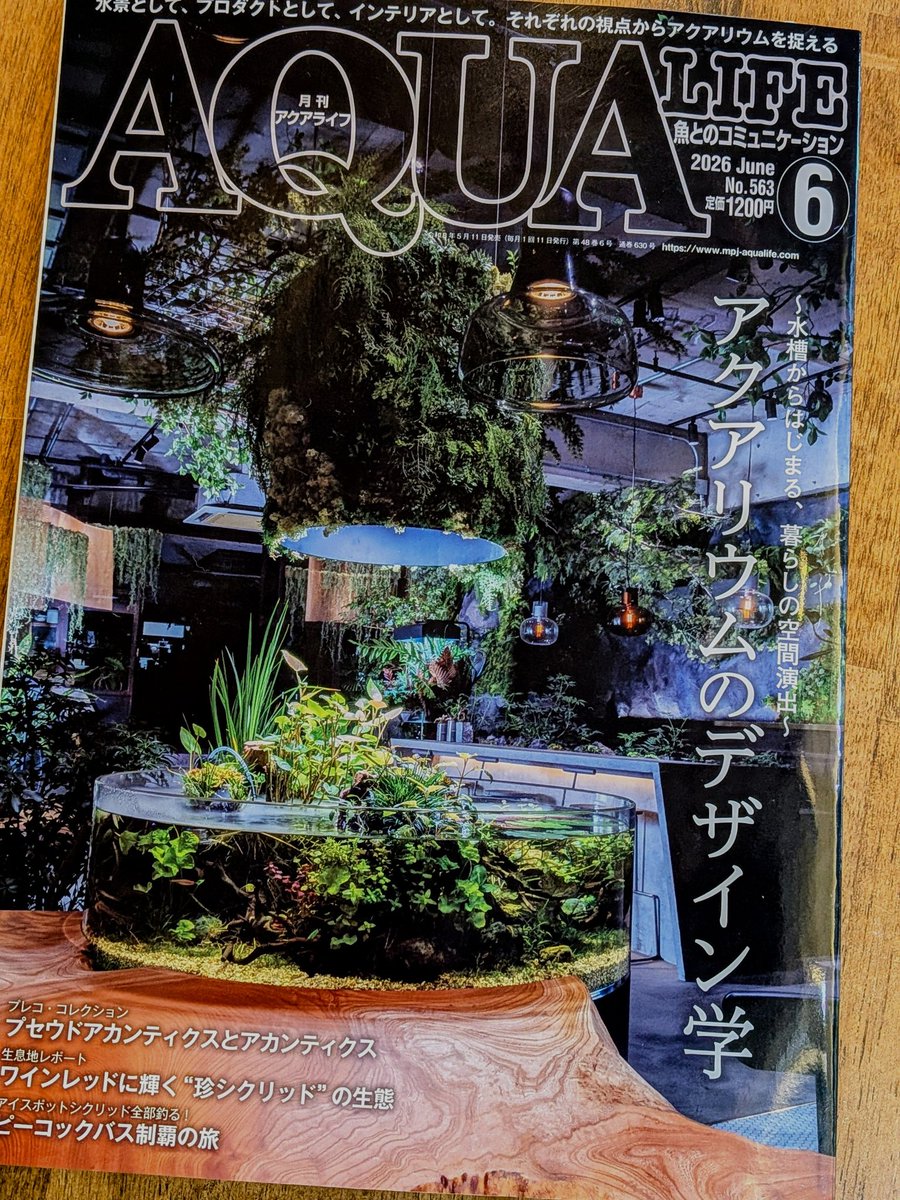 タナカカツキ tweet media