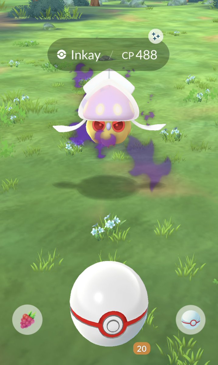 ZOOTEDZACH96's tweet photo. Lil Sunday pogo action #sunday #fyp #PokemonGO #scopely #nintendo #weekend #teamrocket #gbl #lechonkcday #shiny #shadow #inkay #shinyshadowpokemon https://t.co/JUM74DhS0m